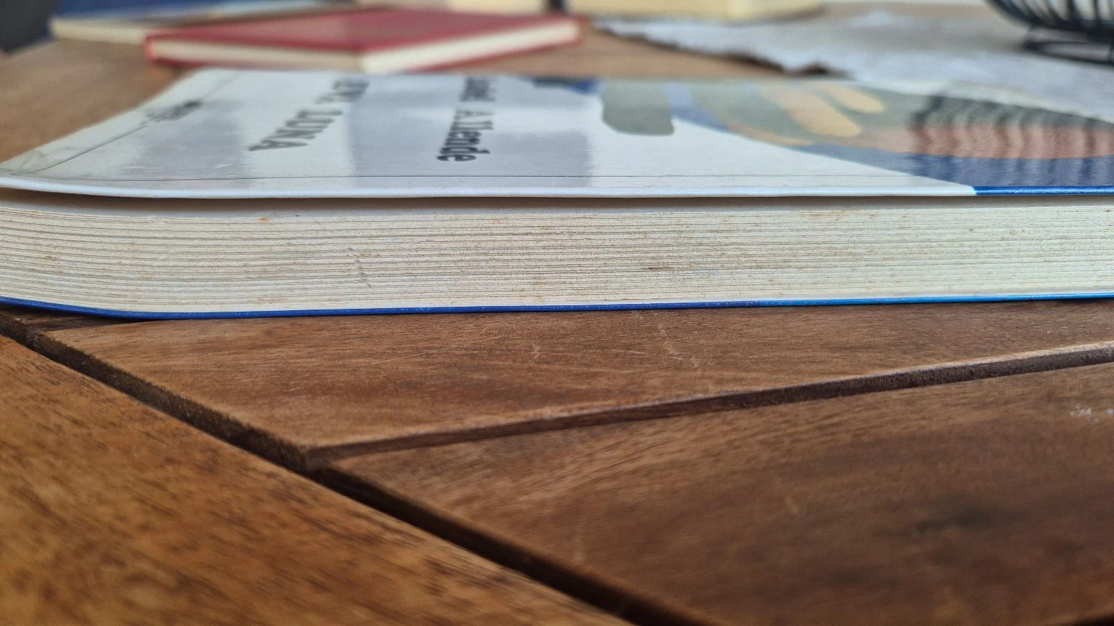 Boek Eva Luna van Isabel Allende – photo 2
